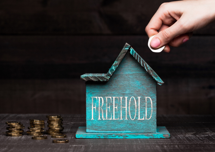 Commercial Freehold Commercial Freehold